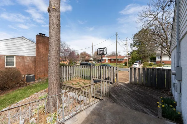a view of a park with large trees