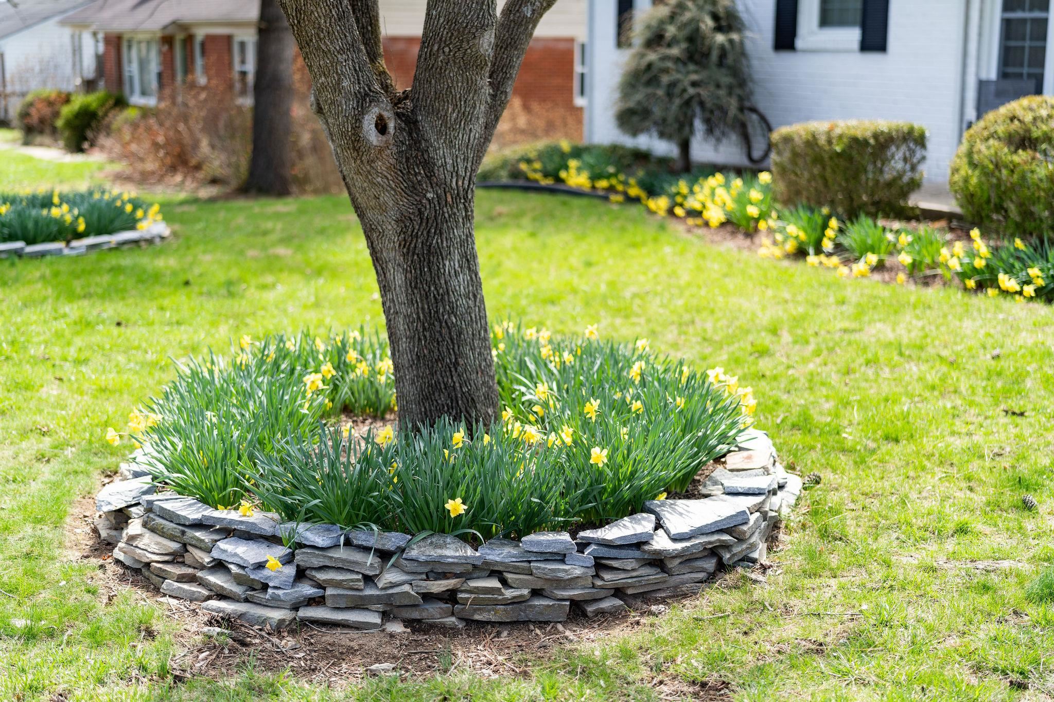 85 Sharon Street Harrisonburg, VA 22801 - Photo 4 of 49