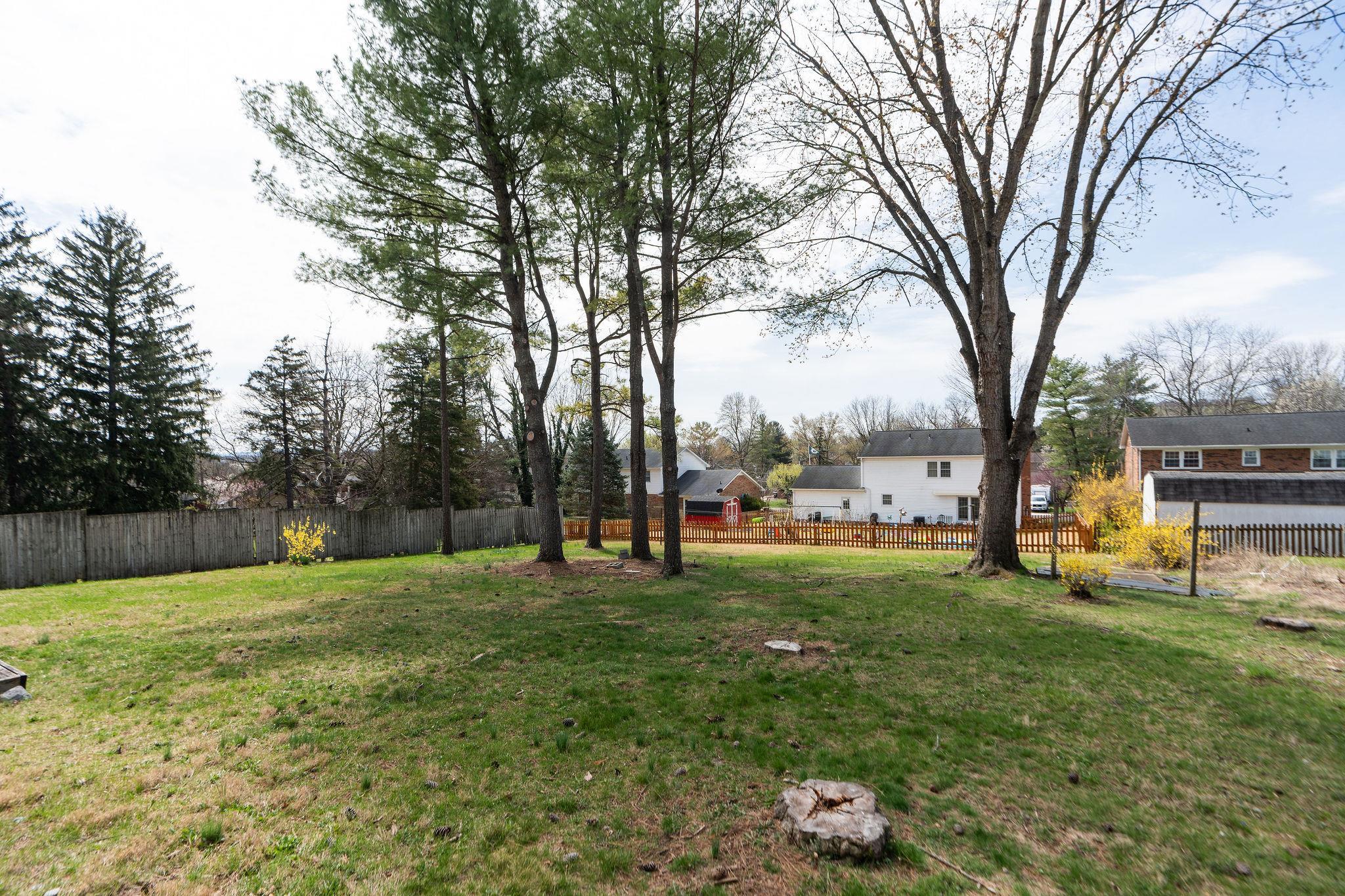 85 Sharon Street Harrisonburg, VA 22801 - Photo 41 of 49 Beautiful backyard