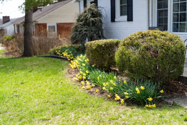 a front view of a house with garden