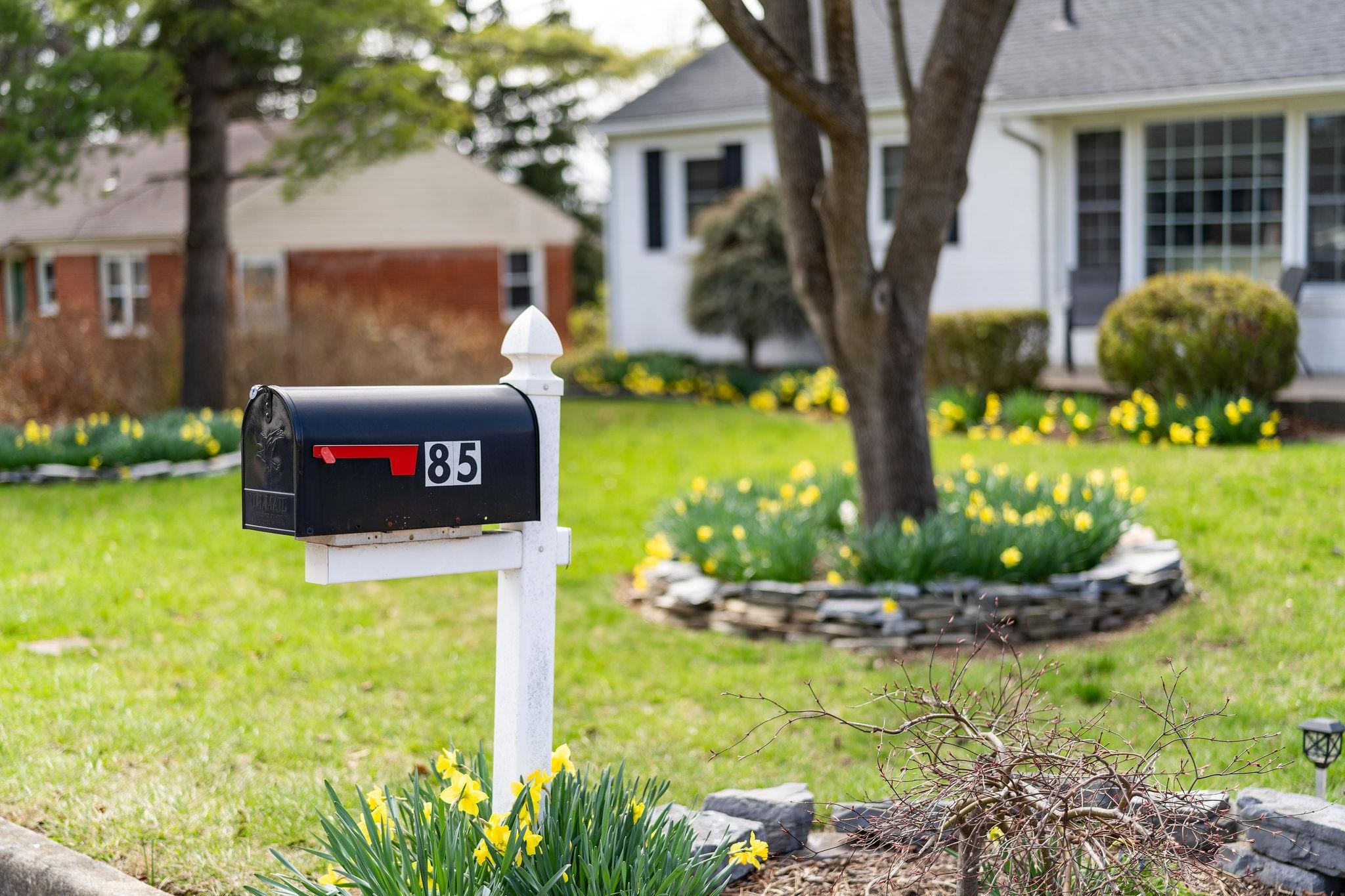 85 Sharon Street Harrisonburg, VA 22801 - Photo 48 of 49