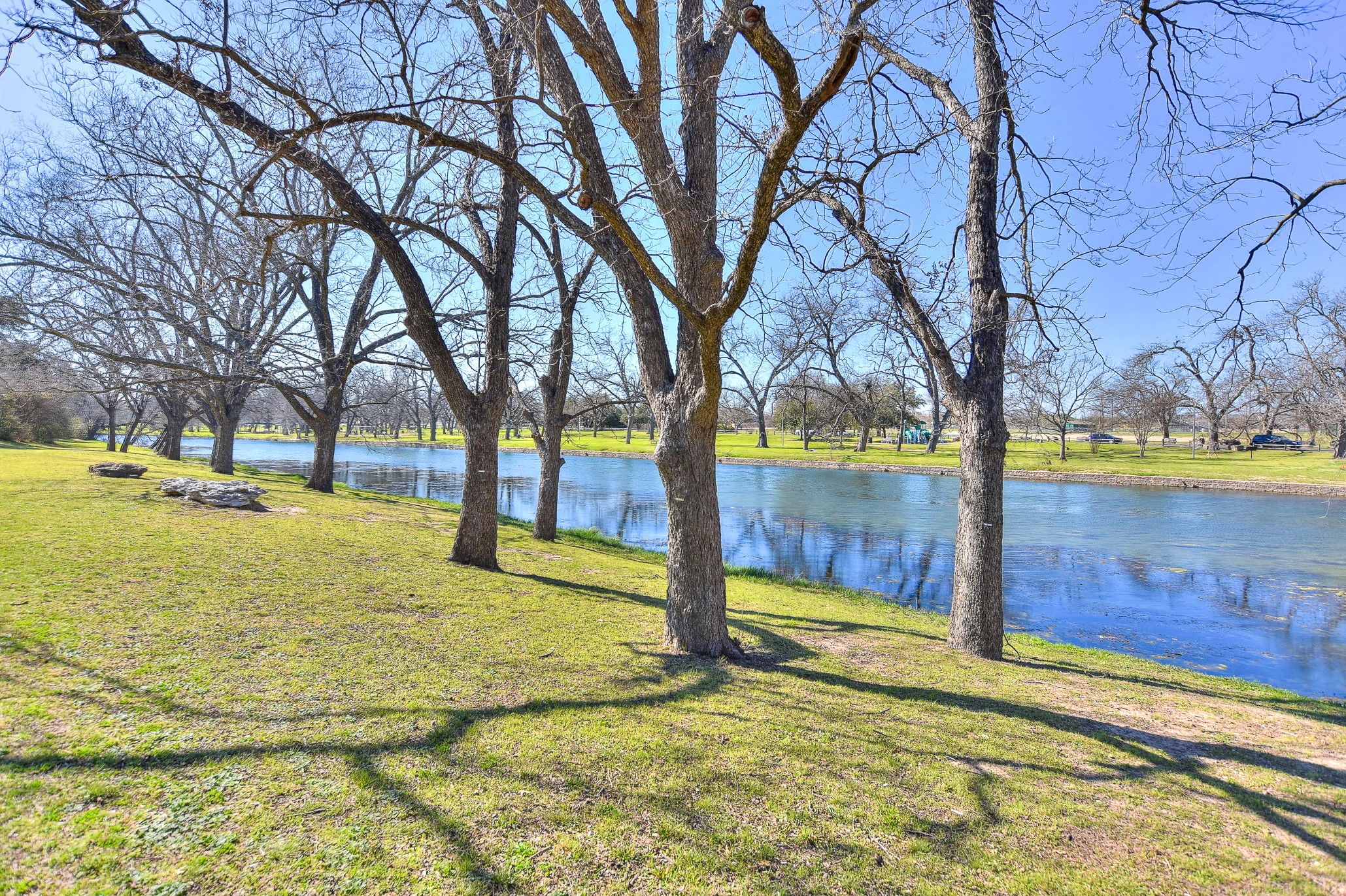 1205 South Main Street Georgetown, TX 78626 - Photo 34 of 35 a view of yard with large tree