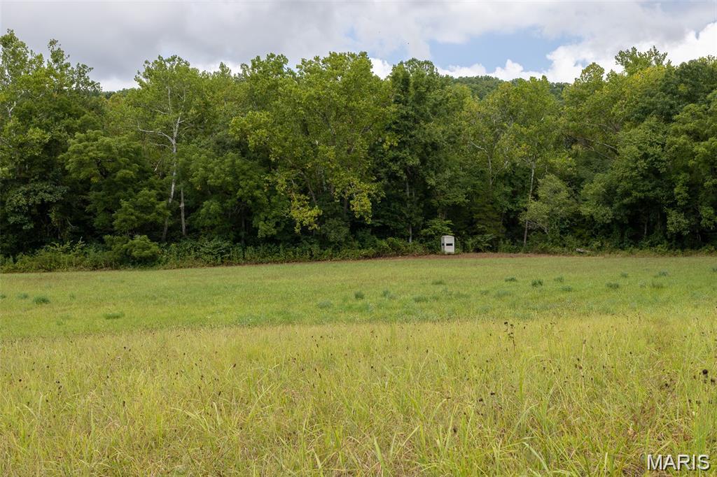 10300 Prescott Road Licking, MO 65542 - Photo 34 of 51