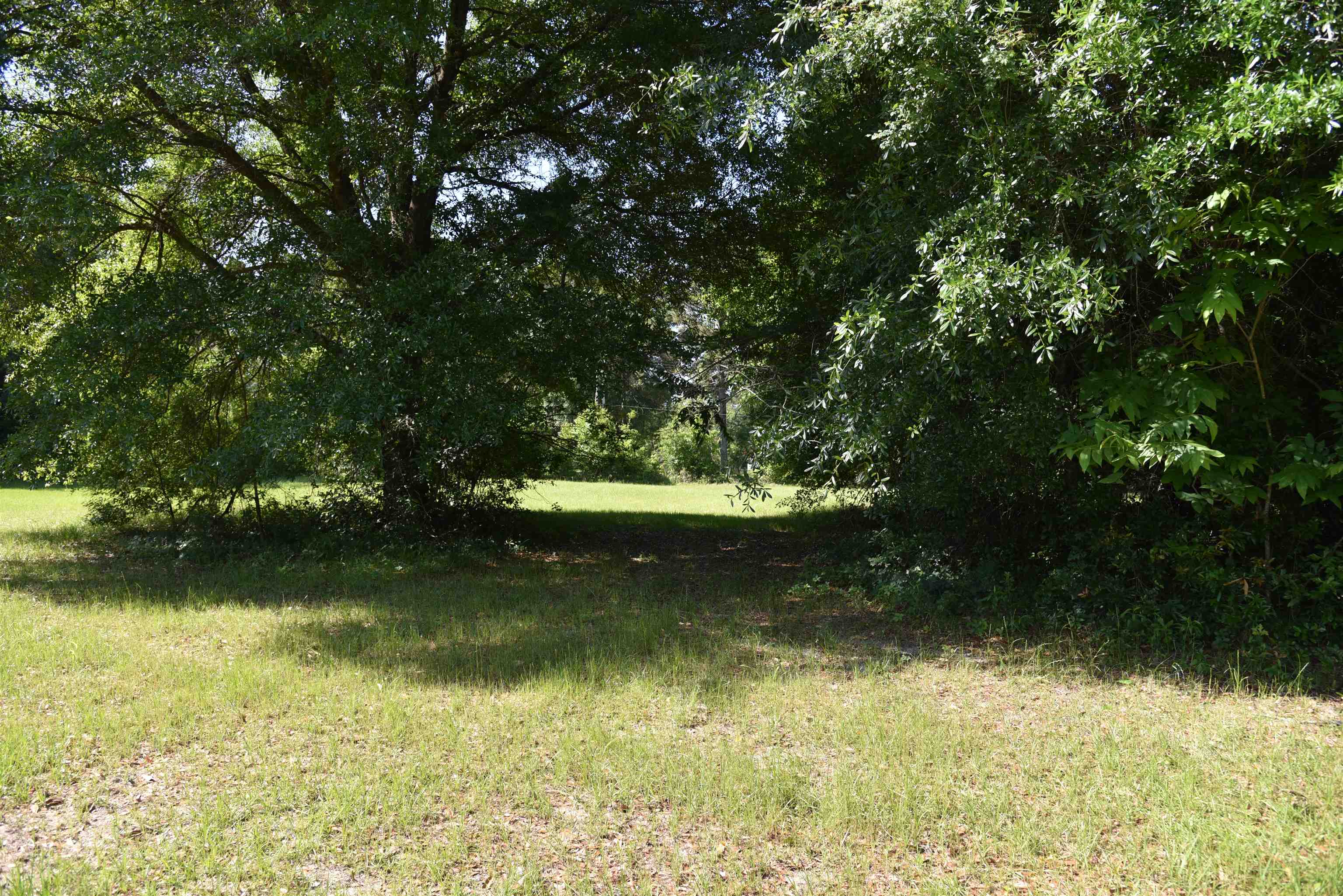 Solomon Dairy Road Quincy, FL 32352 - Photo 9 of 36
