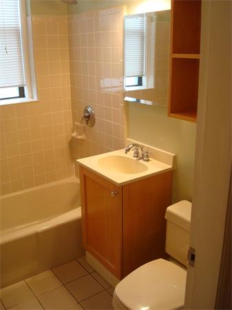 6 Sutherland Road, Unit 2 Boston, MA 02135 - Photo 6 of 9 a bathroom with a sink a toilet and bathtub