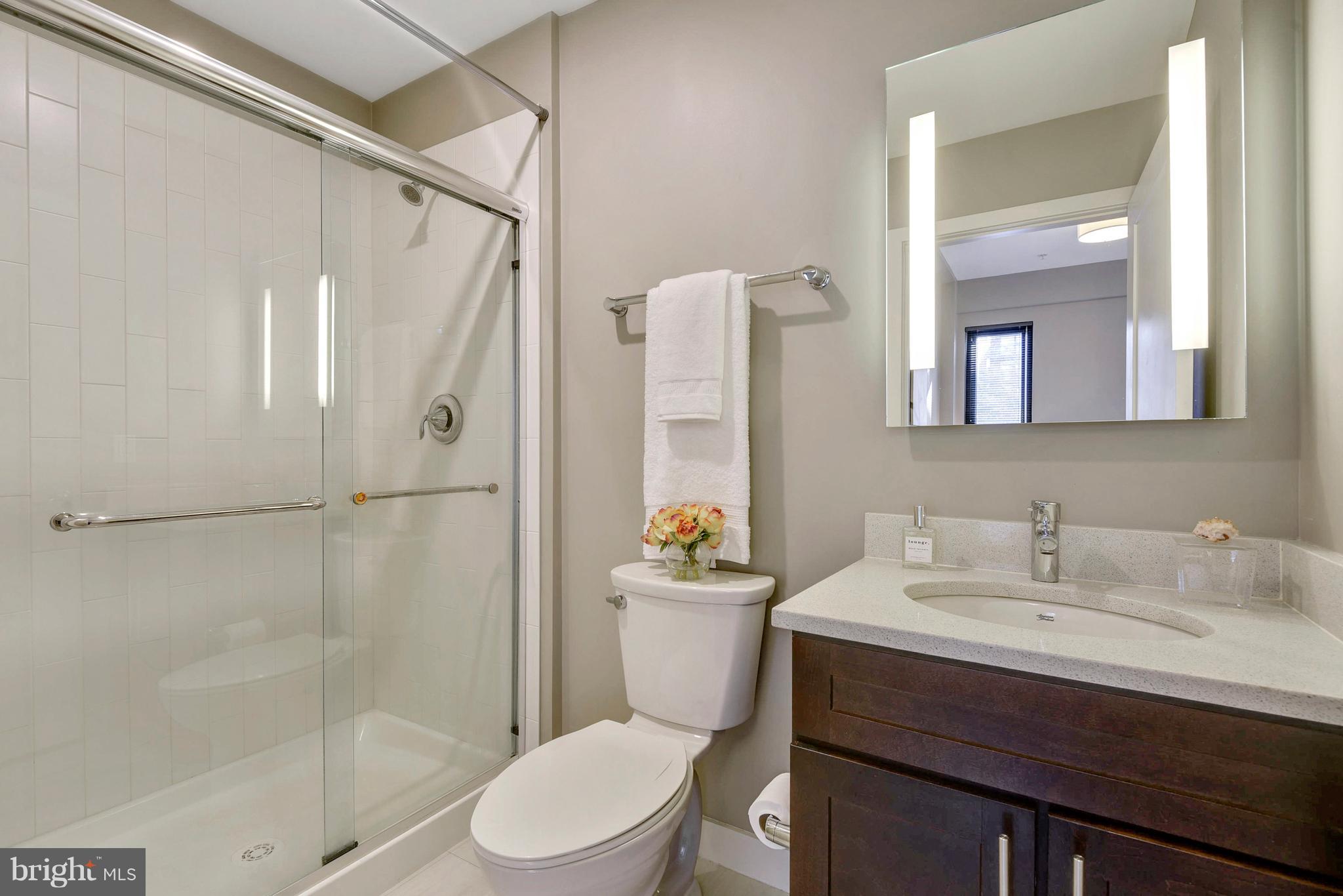 1320 Fenwick Lane, Unit 308 Silver Spring, MD 20910 - Photo 16 of 43 #308 Master Bath