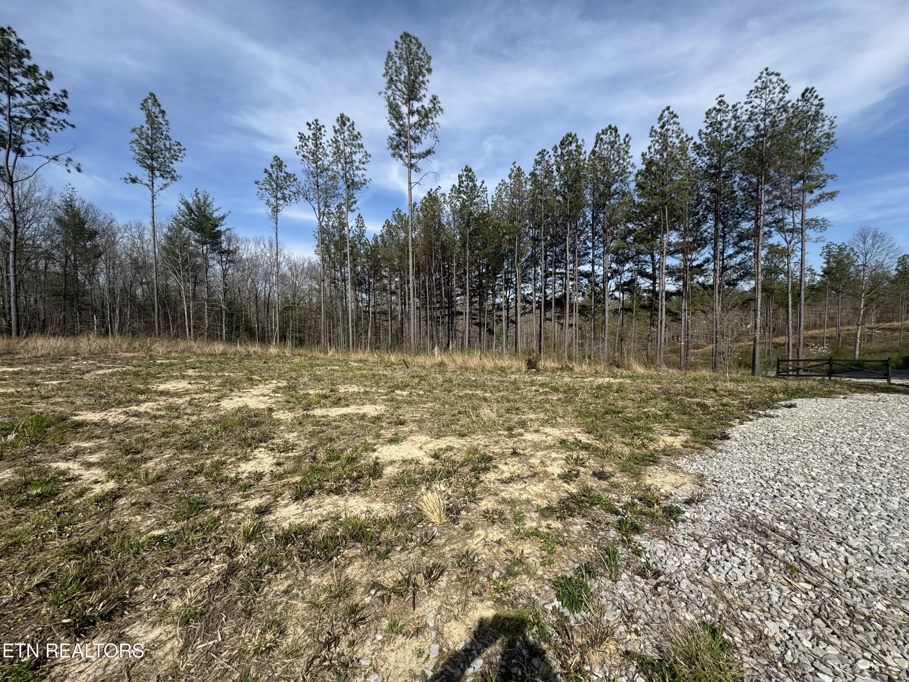 0 Burrville Road Sunbright, TN 37872 - Photo 6 of 28 IMG_3231