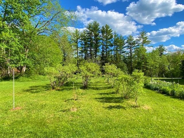 71 Old Turnpike Road Fitzwilliam, NH 03447 - Photo 18 of 18