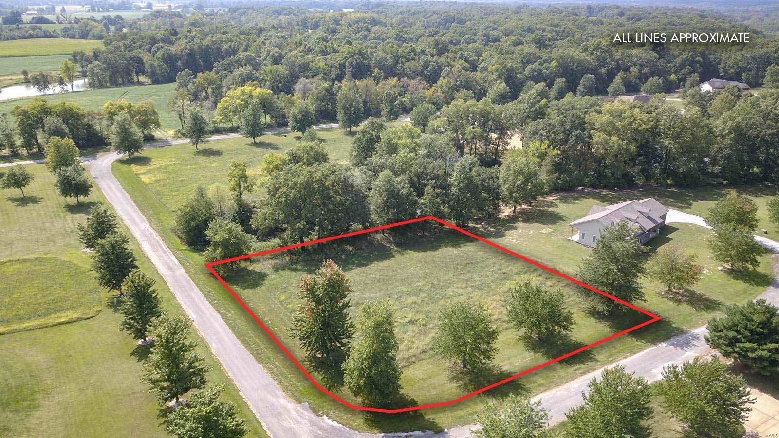 0 Springman Lane Brighton, IL 62012 - Photo 1 of 5