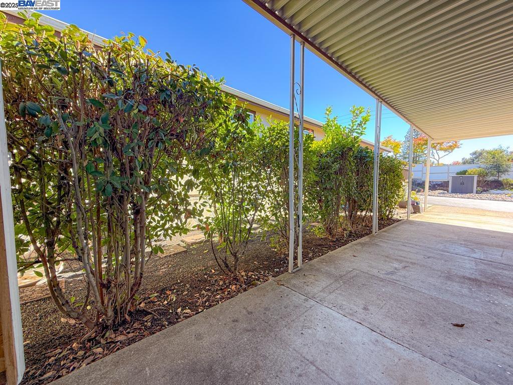 3263 Vineyard Avenue, Unit 89 Pleasanton, CA 94566 - Photo 22 of 41 a backyard of a house with lots of green space
