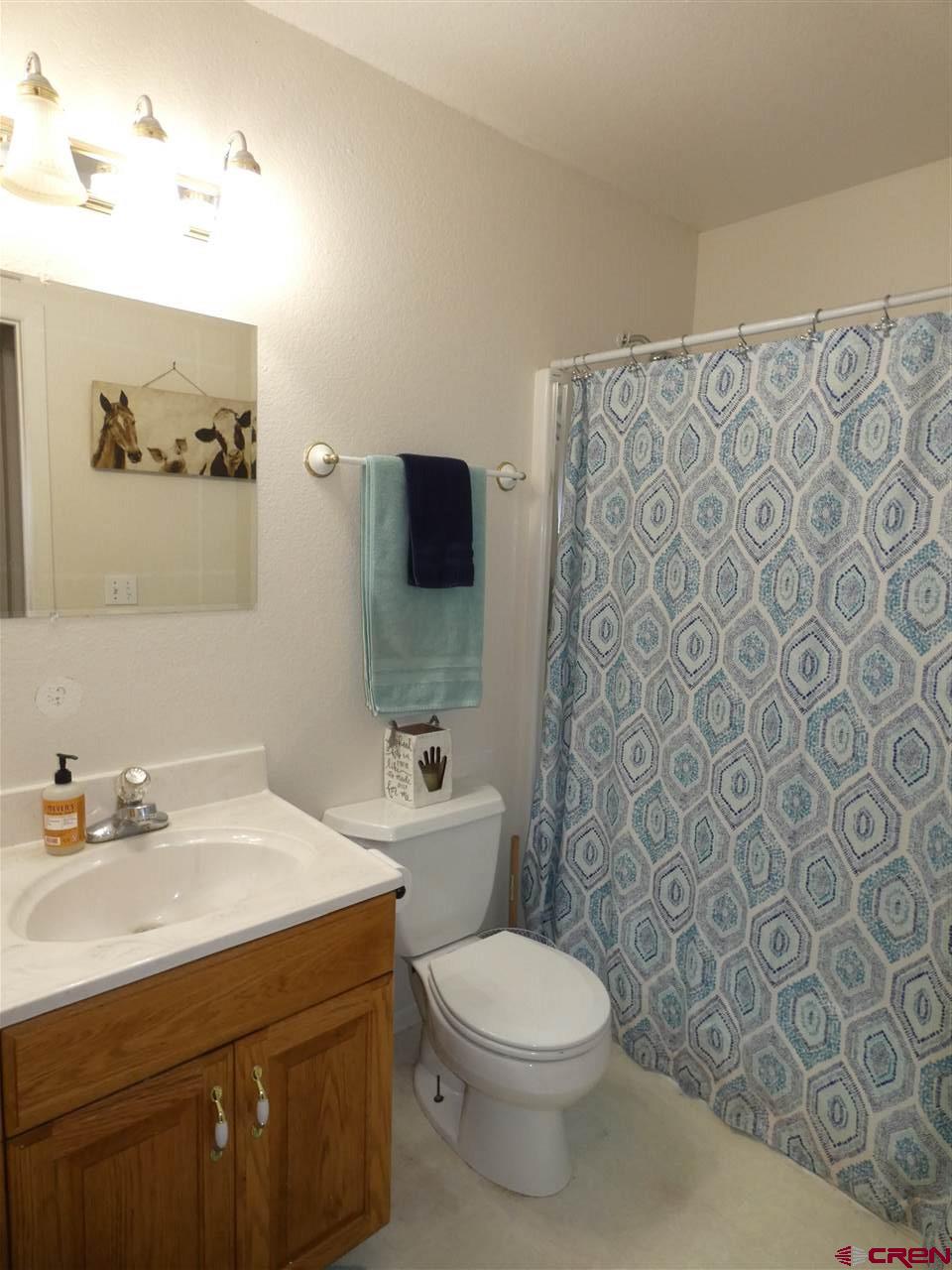 6224 5600th Road Olathe, CO 81425 - Photo 18 of 35 Gallery Image 18