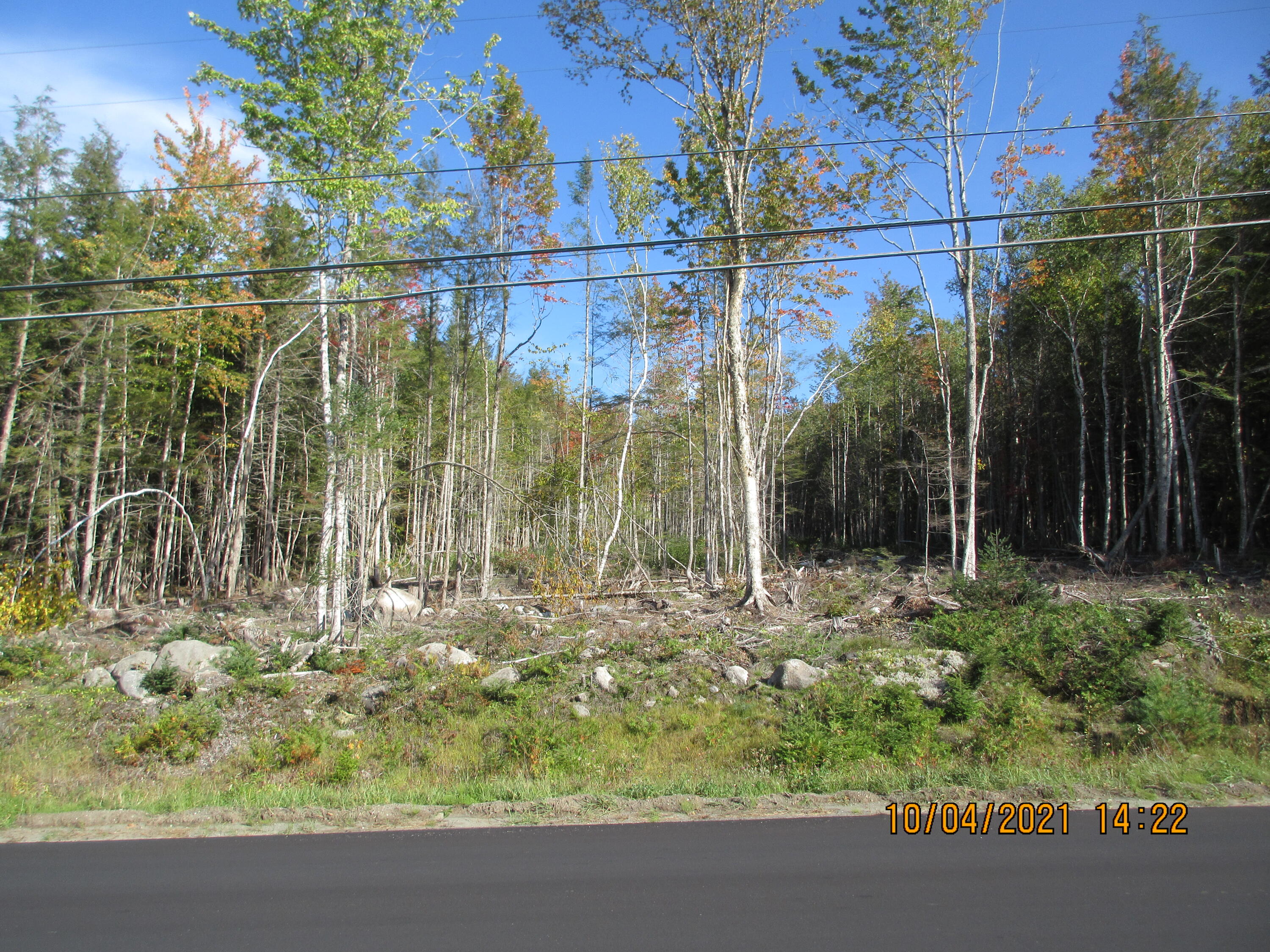 0 Greeley's Landing Road Dover-Foxcroft, ME 04426 - Photo 3 of 5 IMG_0024 (1)