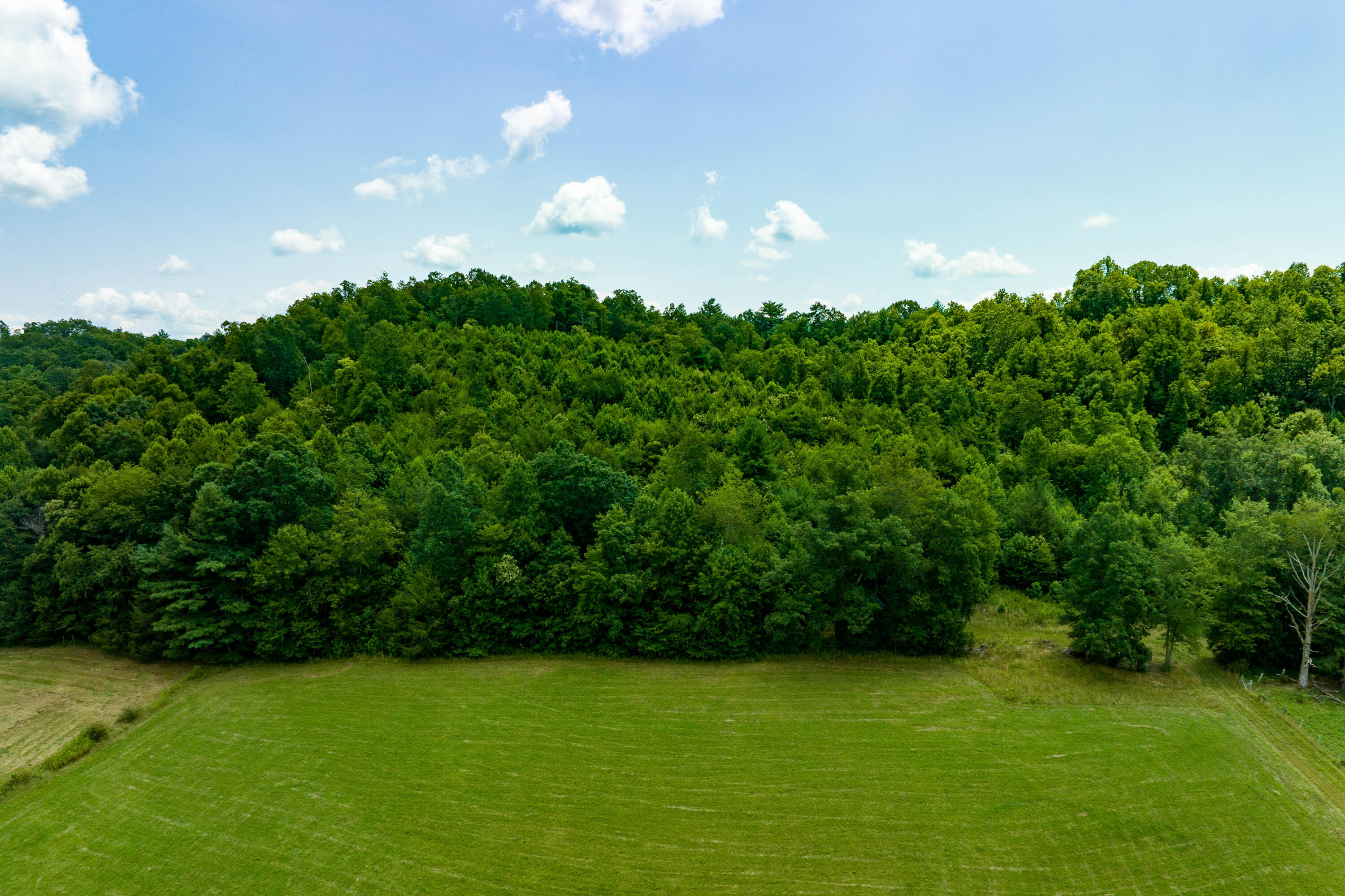 1228 Cobb Creek Road, Unit 2 Butler, TN 37640 - Photo 18 of 40 Tbd Cobb Creek (18 of 44)