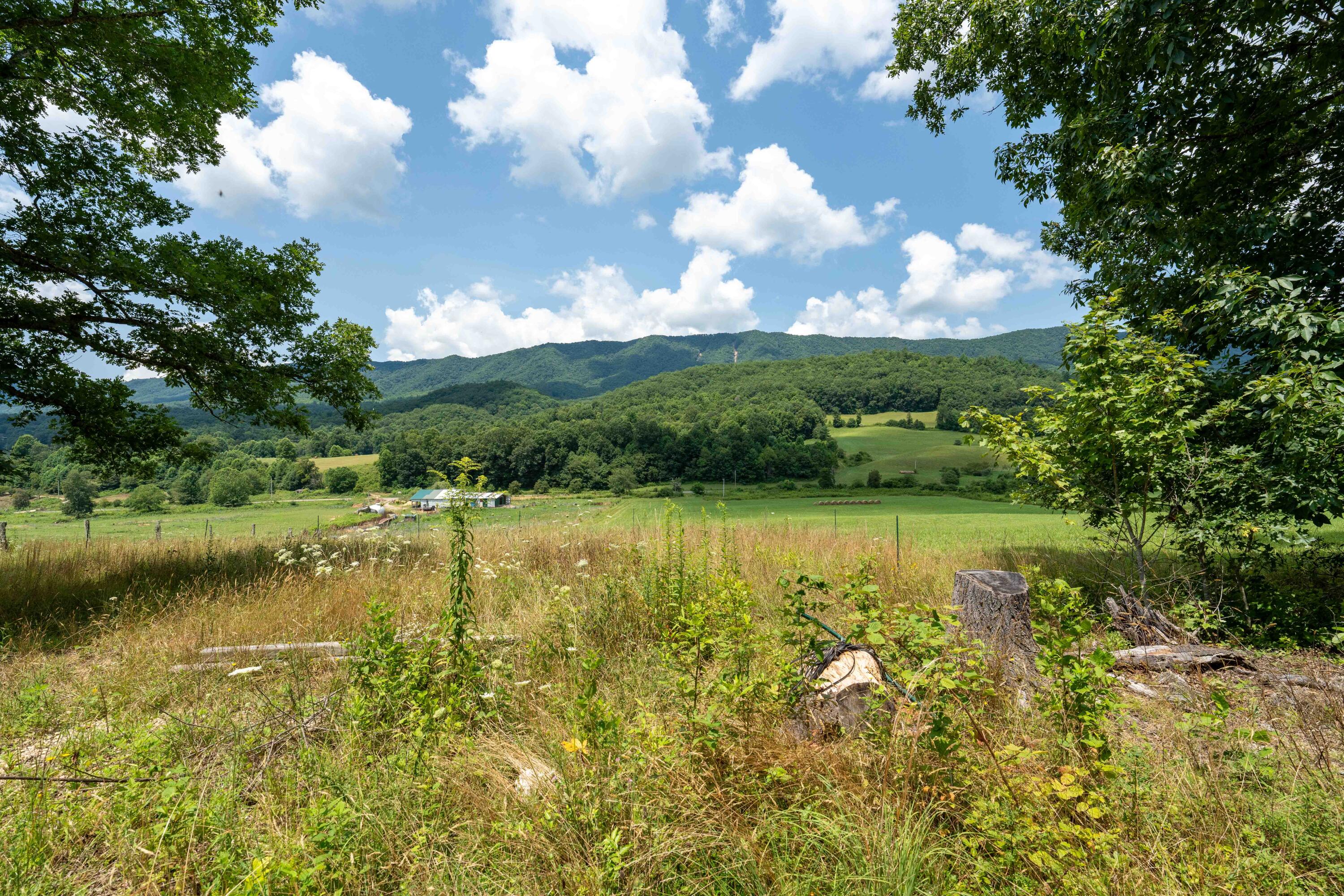 1228 Cobb Creek Road, Unit 2 Butler, TN 37640 - Photo 28 of 40 Tbd Cobb Creek (28 of 44)