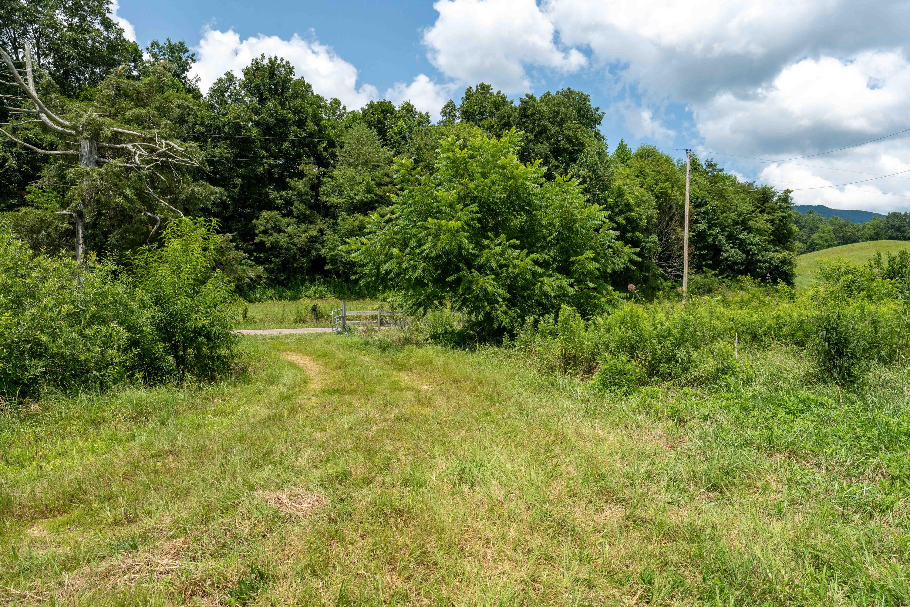 1228 Cobb Creek Road, Unit 2 Butler, TN 37640 - Photo 35 of 40 Tbd Cobb Creek (35 of 44)