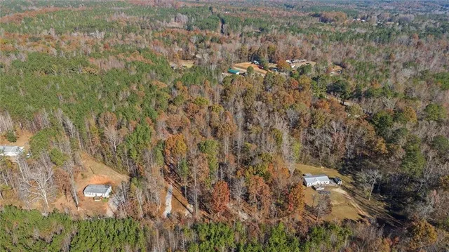 a view of a bunch of trees and bushes