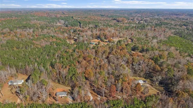 a view of a city with lush green forest