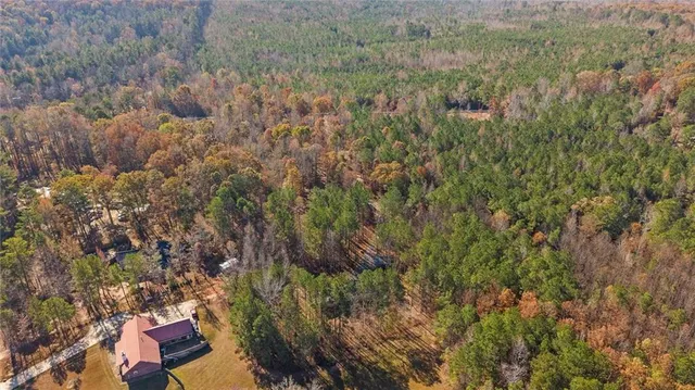 a view of a dry yard
