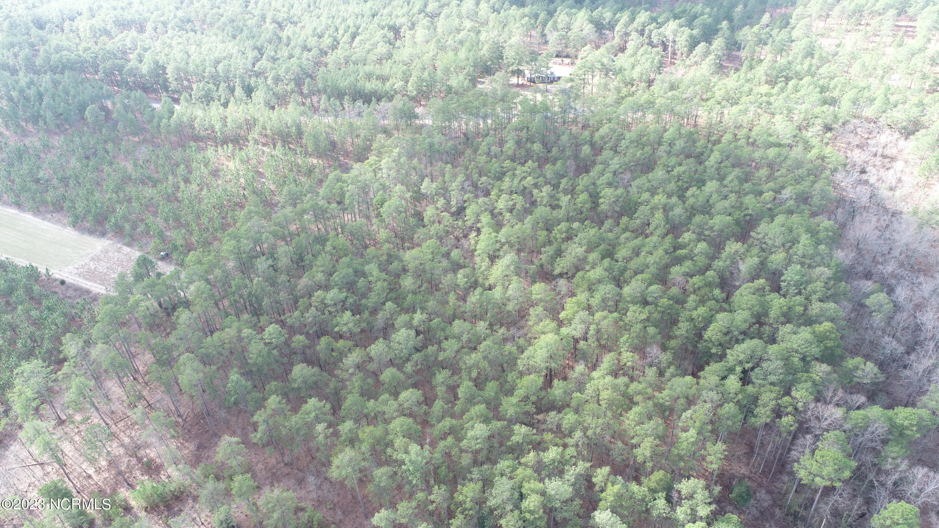 Lot 2 Flowers Road Jackson Springs, NC 27281 - Photo 3 of 13 DJI_0419