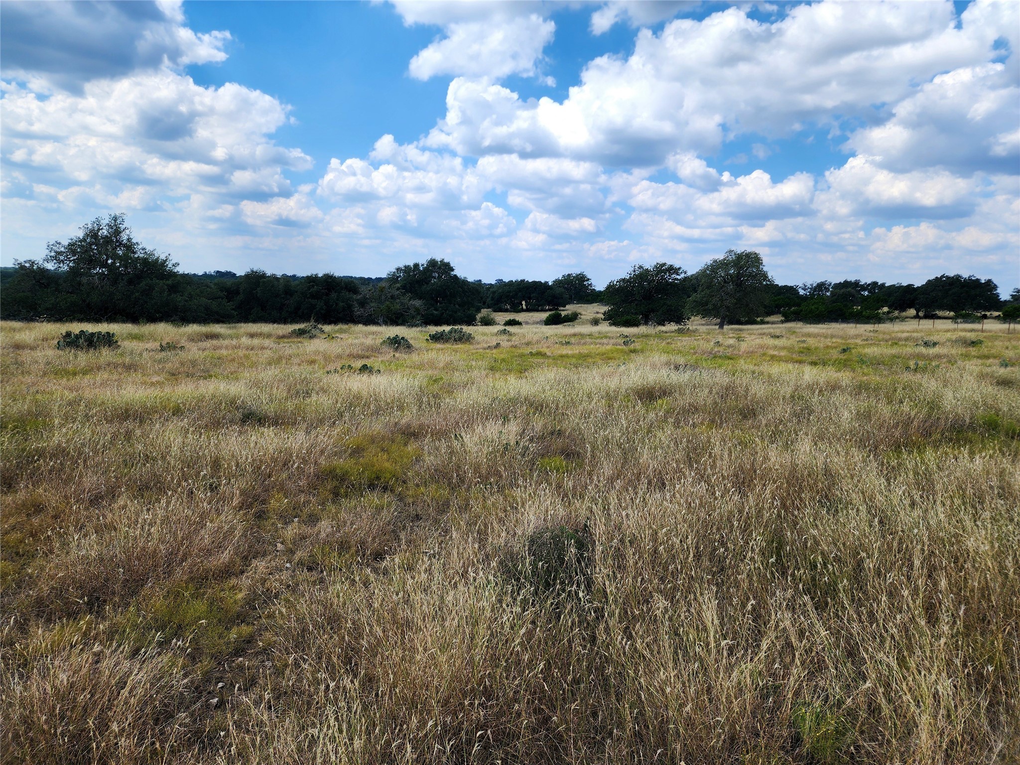 1332 Short Road Vanderpool, TX 78885 - Photo 21 of 44
