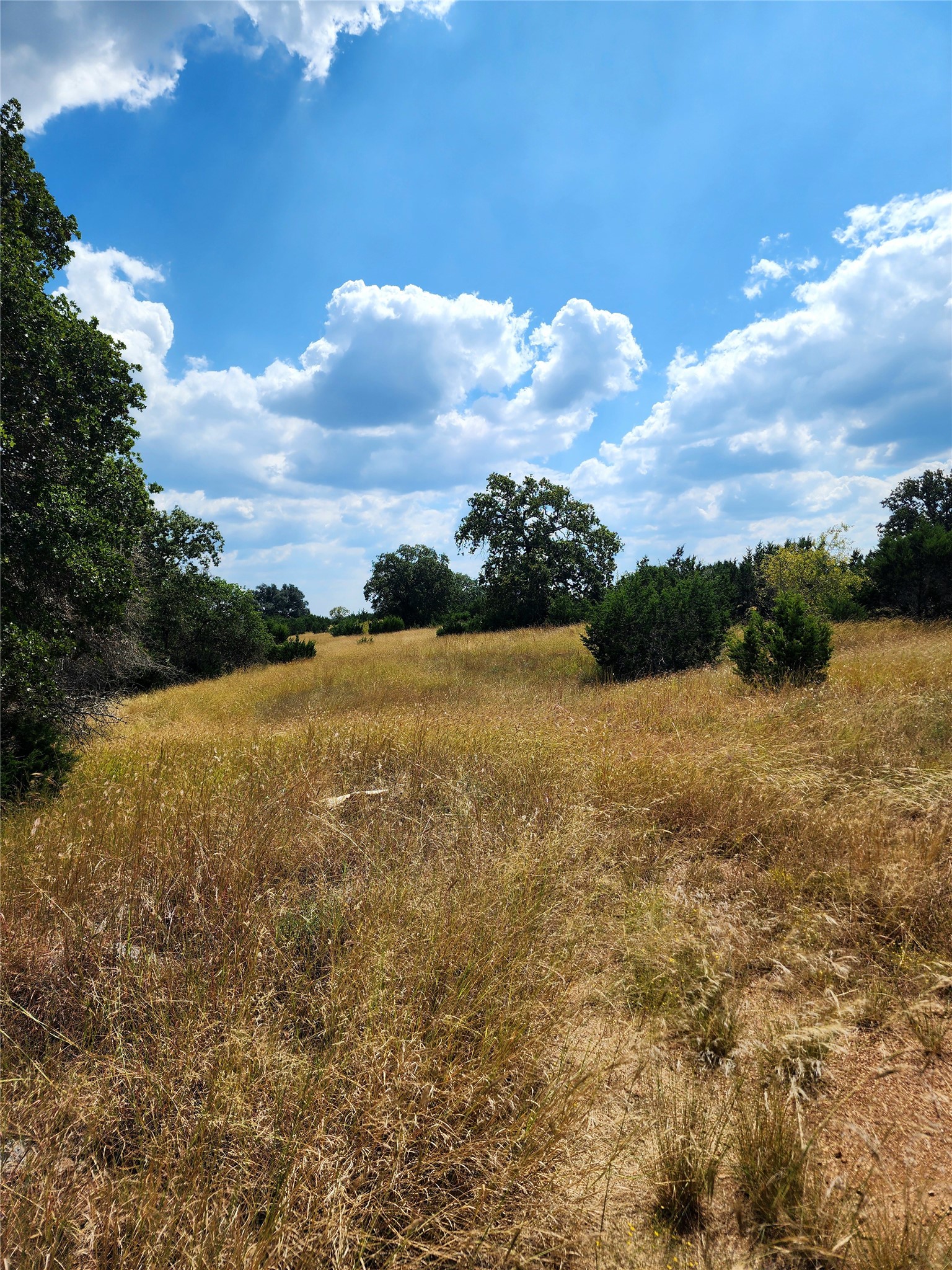 1332 Short Road Vanderpool, TX 78885 - Photo 23 of 44 a view of an ocean and beach