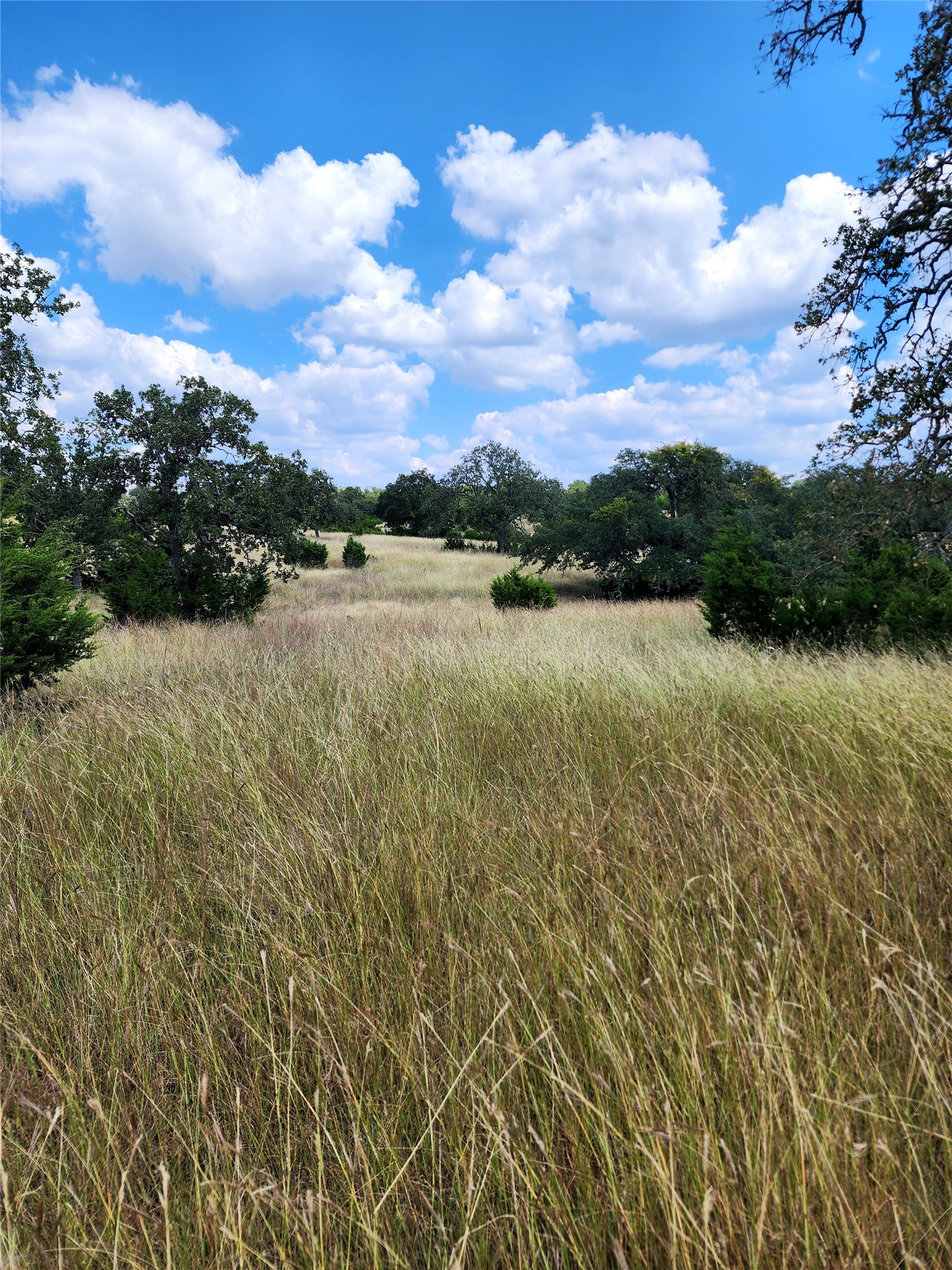 1332 Short Road Vanderpool, TX 78885 - Photo 24 of 44 a view of lake