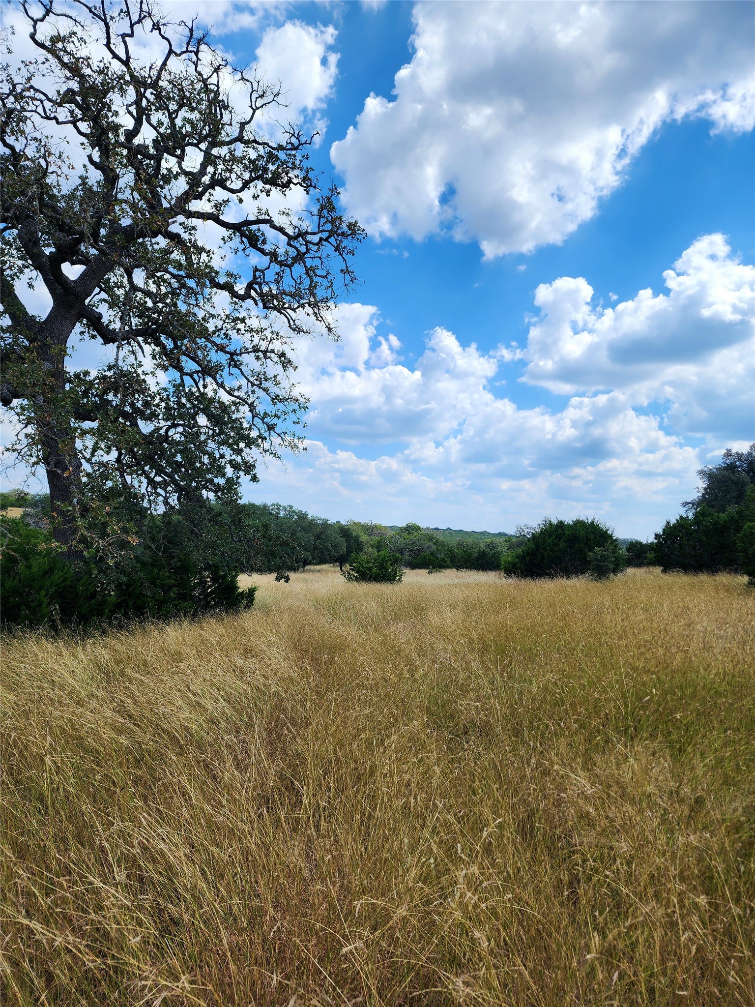 1332 Short Road Vanderpool, TX 78885 - Photo 25 of 44