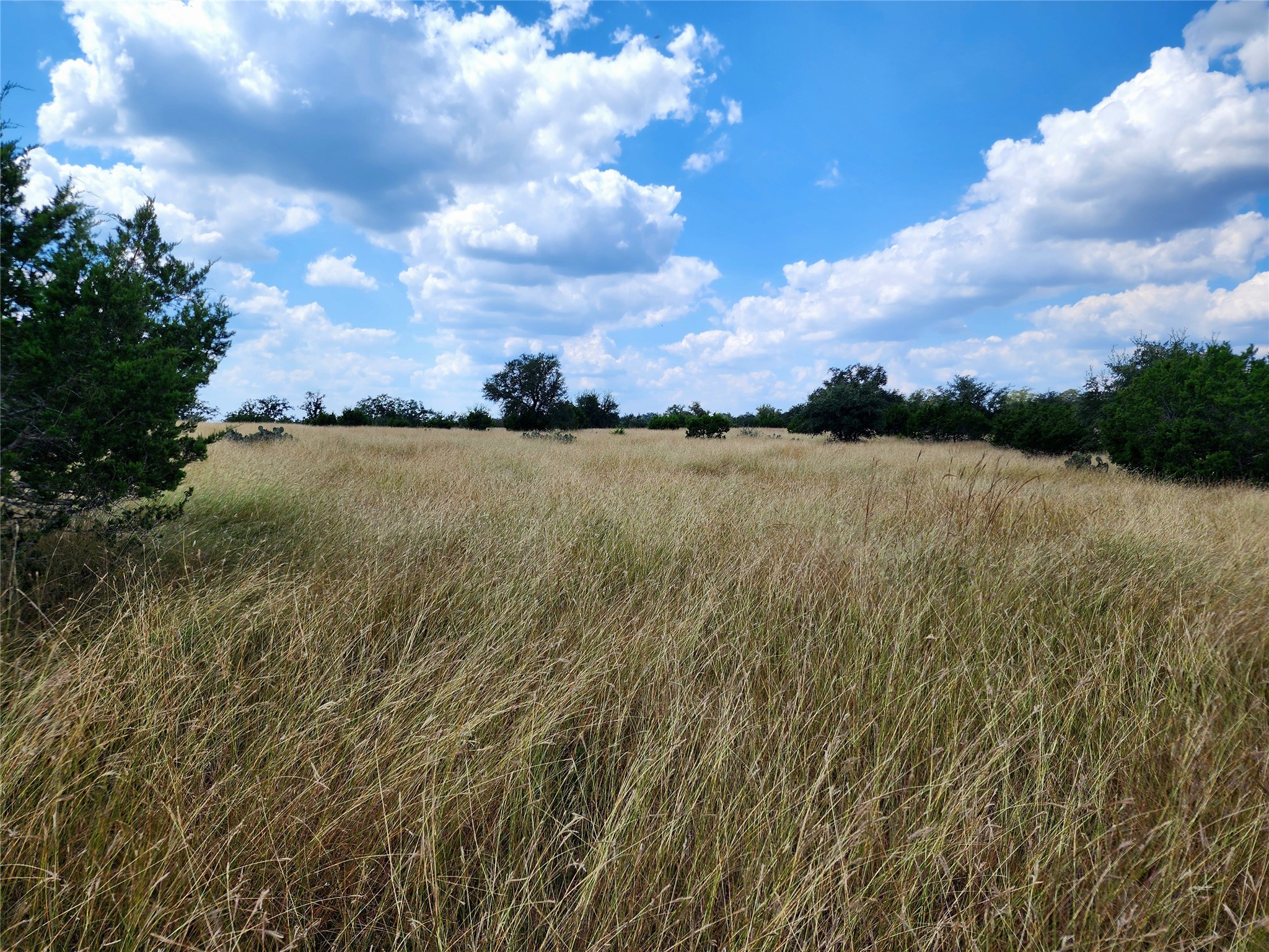1332 Short Road Vanderpool, TX 78885 - Photo 26 of 44 a view of an ocean and beach