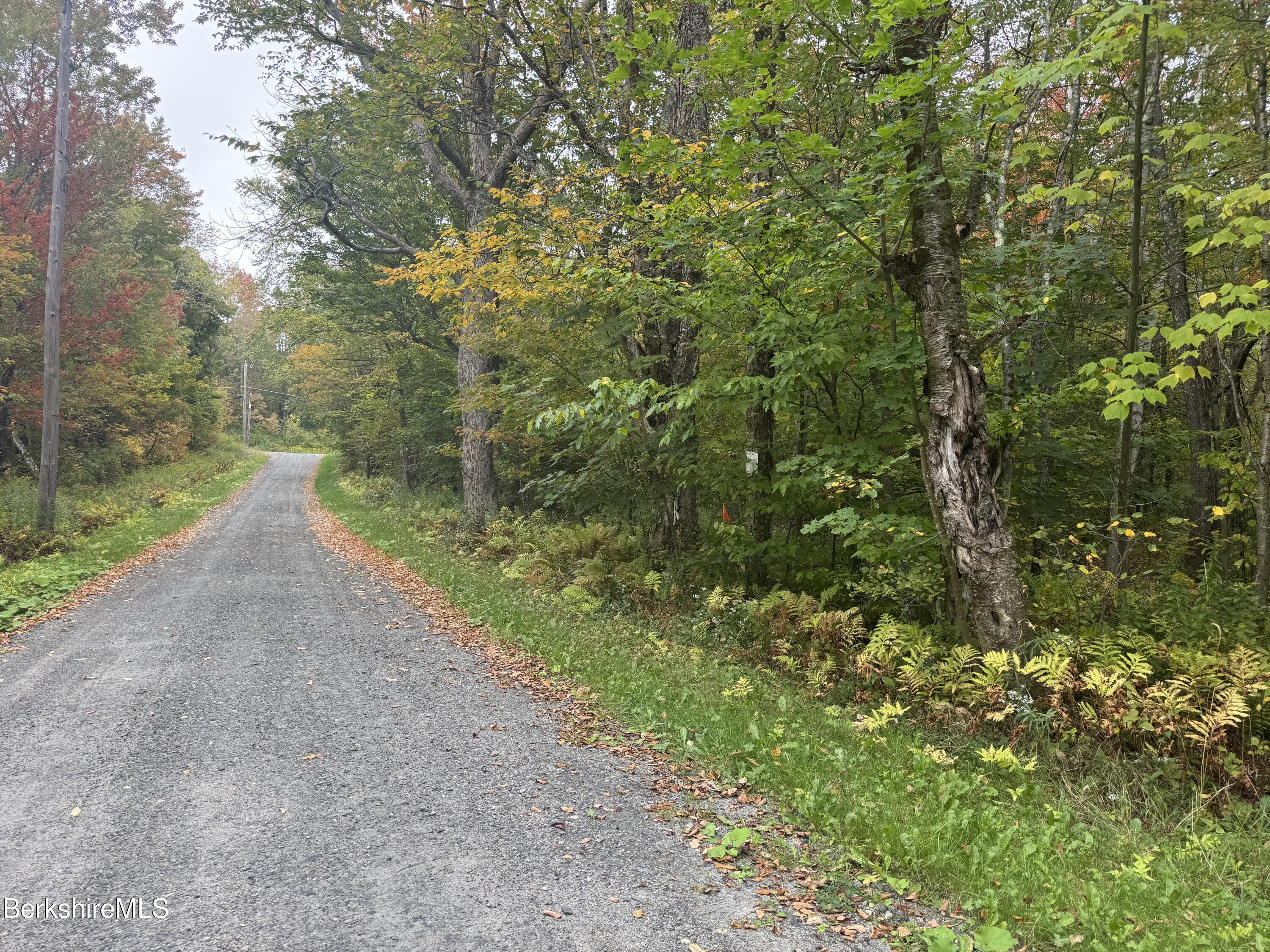 0 North Street Windsor, MA 01270 - Photo 3 of 6 a view of a yard with plants and large trees