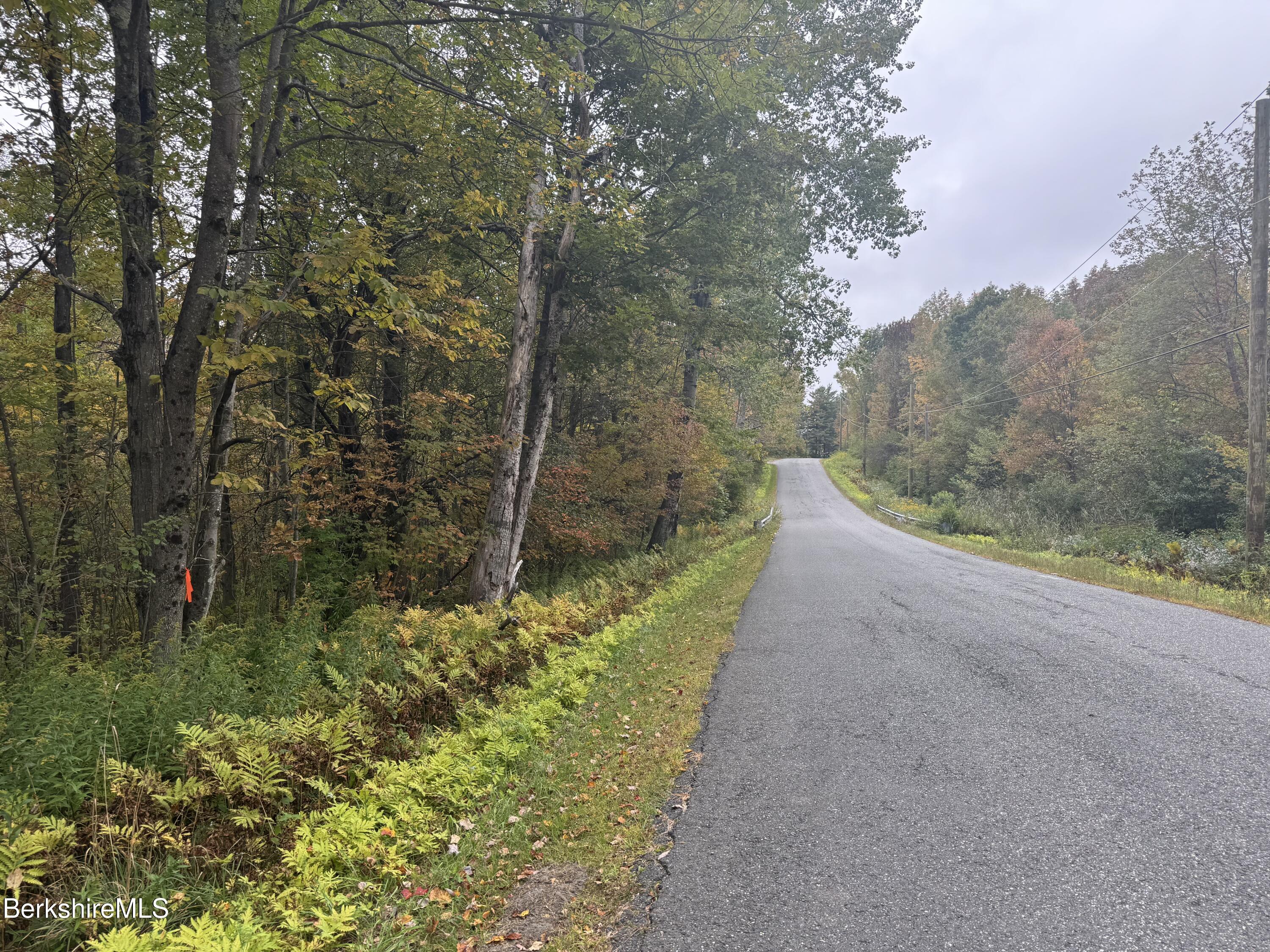 0 North Street Windsor, MA 01270 - Photo 4 of 6 a view of a pathway both side of yard