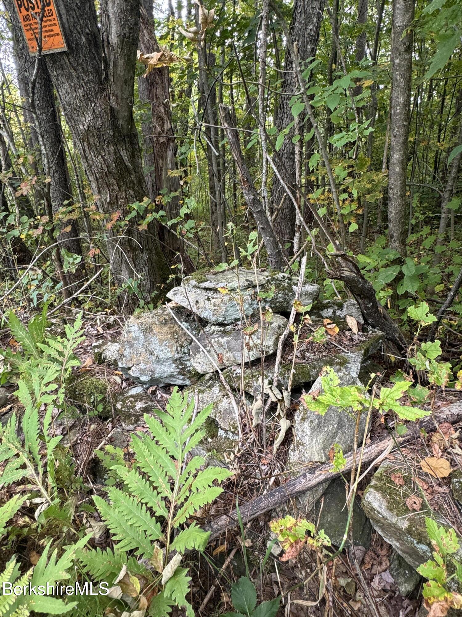 0 North Street Windsor, MA 01270 - Photo 6 of 6 a backyard of a house with lots of green space
