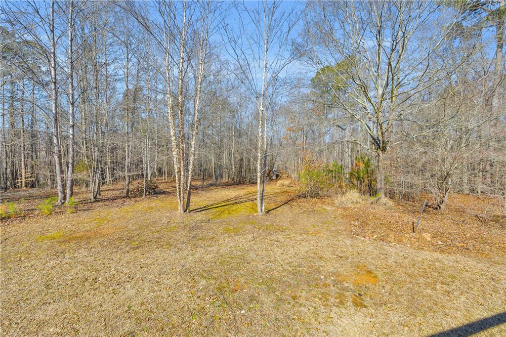 1079 Hardeman Farm Road Carnesville, GA 30521 - Photo 10 of 61