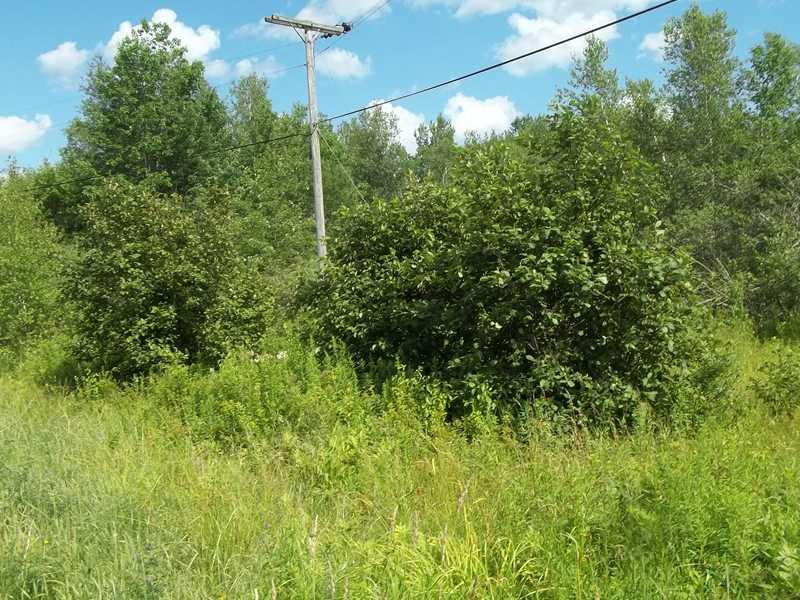 L47 P Banks Road Belfast, ME 04915 - Photo 4 of 8 Exterior Front. If cleared this...