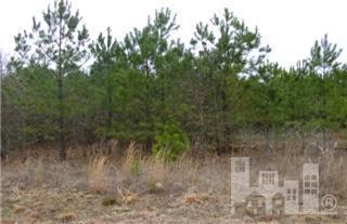 0 Chesters Road Roseboro, NC 28382 - Photo 1 of 1 Primary Photo