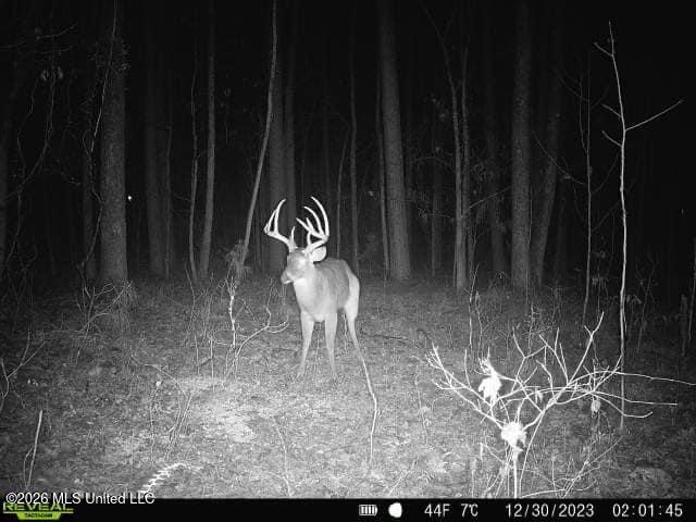 1 Highway 3 Lambert, MS 38643 - Photo 61 of 102 5D448150-2A40-46D9-AE35-A2AF03BA0FEA