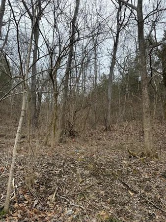 $79,000 | 0 Sr 46, West Harrison, IN 47060