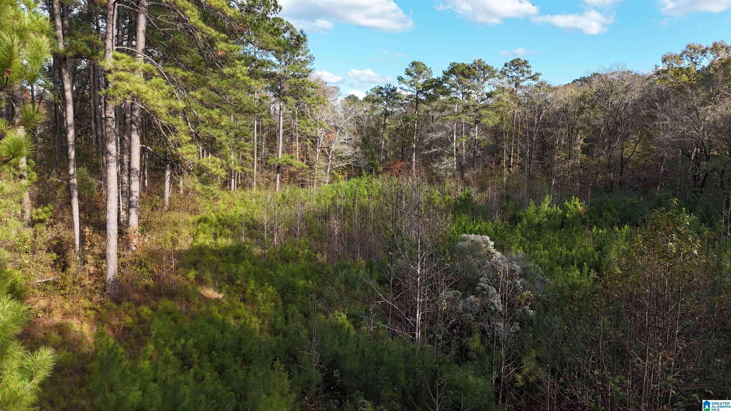 1 Highway 39, Unit 1 Chelsea, AL 35043 - Photo 5 of 6