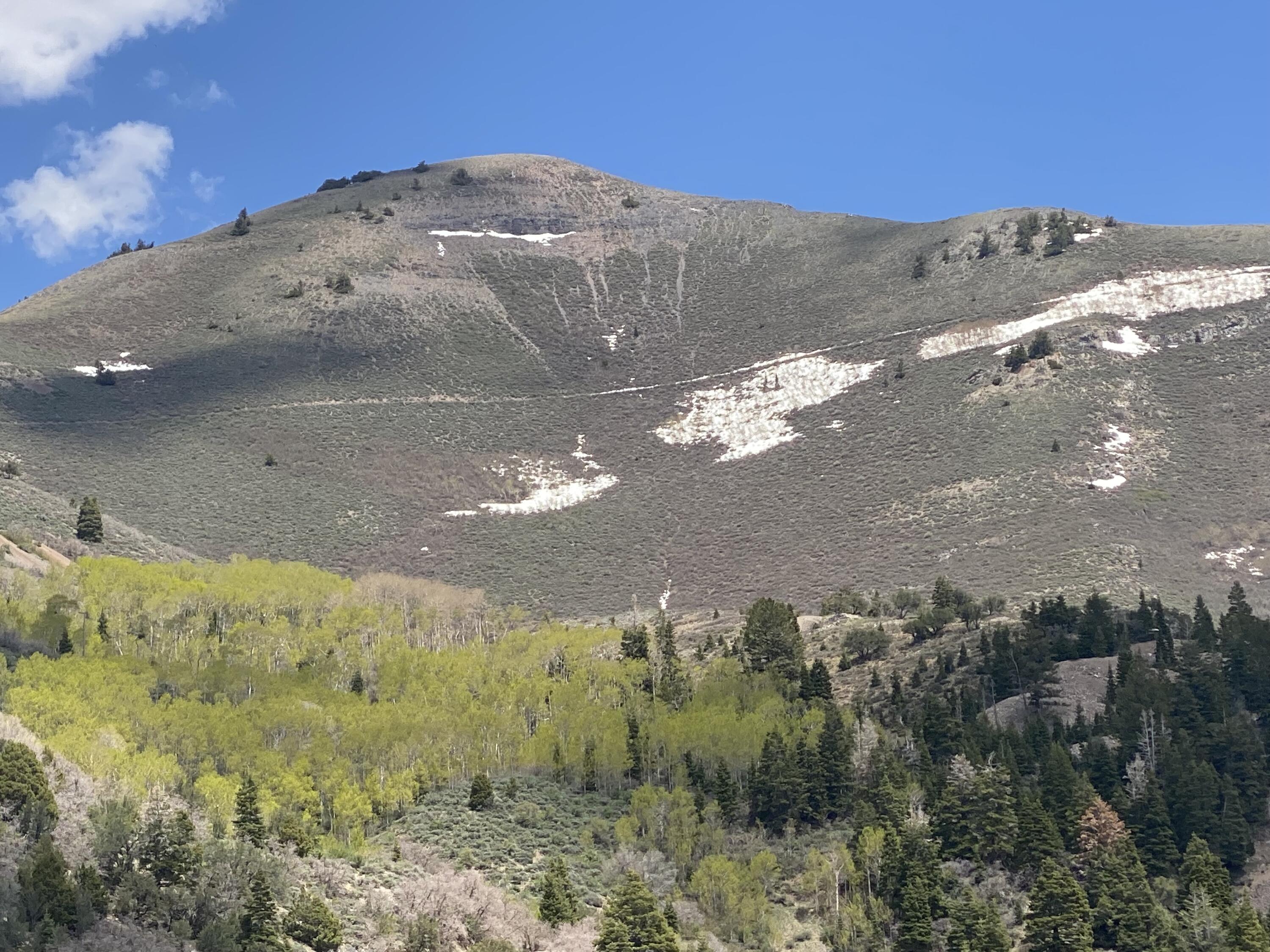 East Bald Mountain Road Stockton, UT 84071 - Photo 15 of 17 IMG_6599