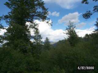 80 Jouflas Road Wolcott, CO 81655 - Photo 2 of 5 Additional Photo