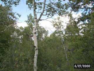 80 Jouflas Road Wolcott, CO 81655 - Photo 3 of 5 Additional Photo