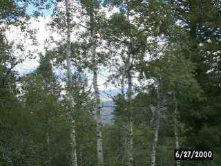 80 Jouflas Road Wolcott, CO 81655 - Photo 5 of 5 Additional Photo