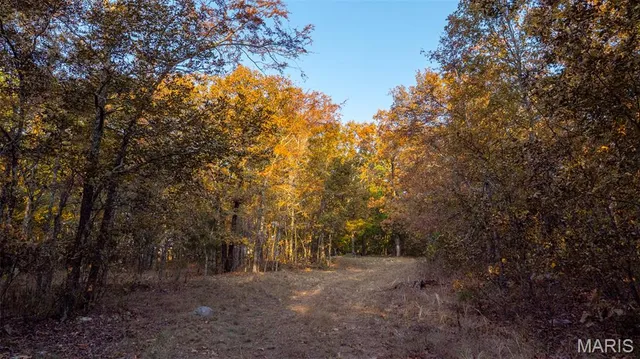 $269,900 | 0 County Road 137, Annapolis, MO 63620