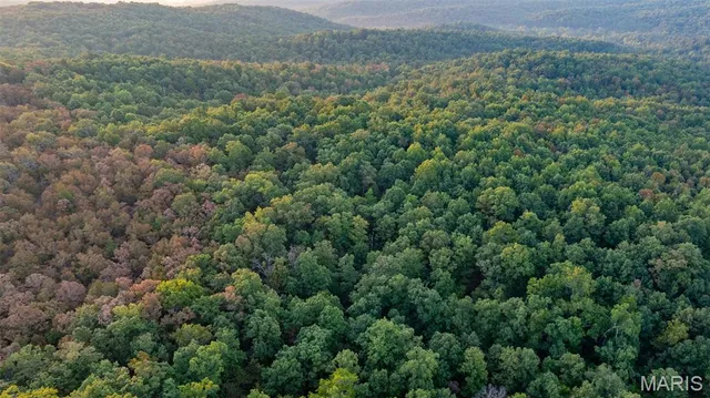 $269,900 | 0 County Road 137, Annapolis, MO 63620