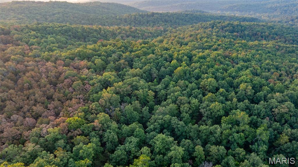 0 County Road 137 Annapolis, MO 63620 - Photo 14 of 52