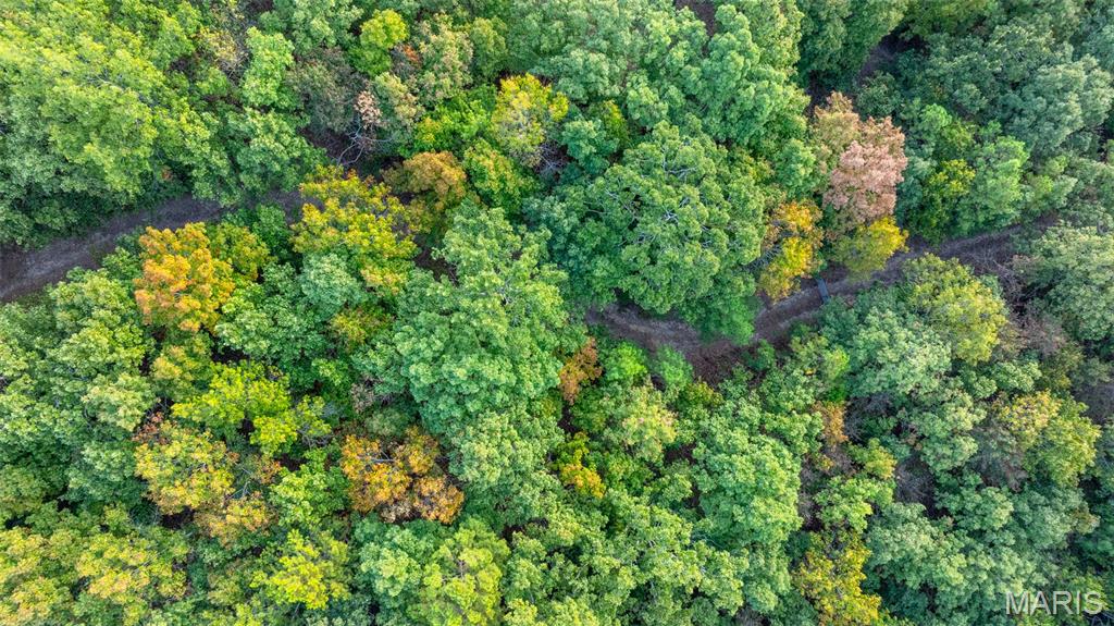 0 County Road 137 Annapolis, MO 63620 - Photo 18 of 52