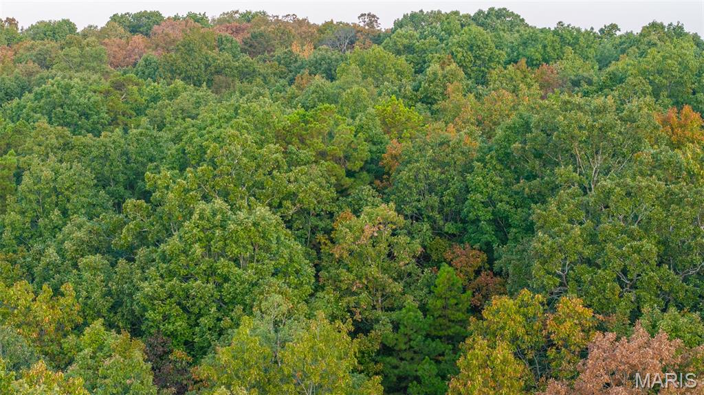 0 County Road 137 Annapolis, MO 63620 - Photo 20 of 52