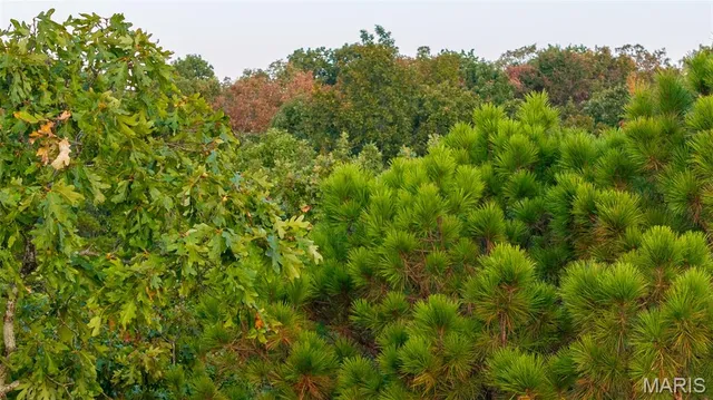 $269,900 | 0 County Road 137, Annapolis, MO 63620