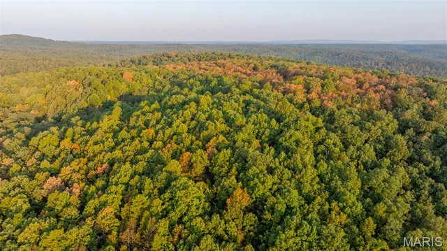 $269,900 | 0 County Road 137, Annapolis, MO 63620