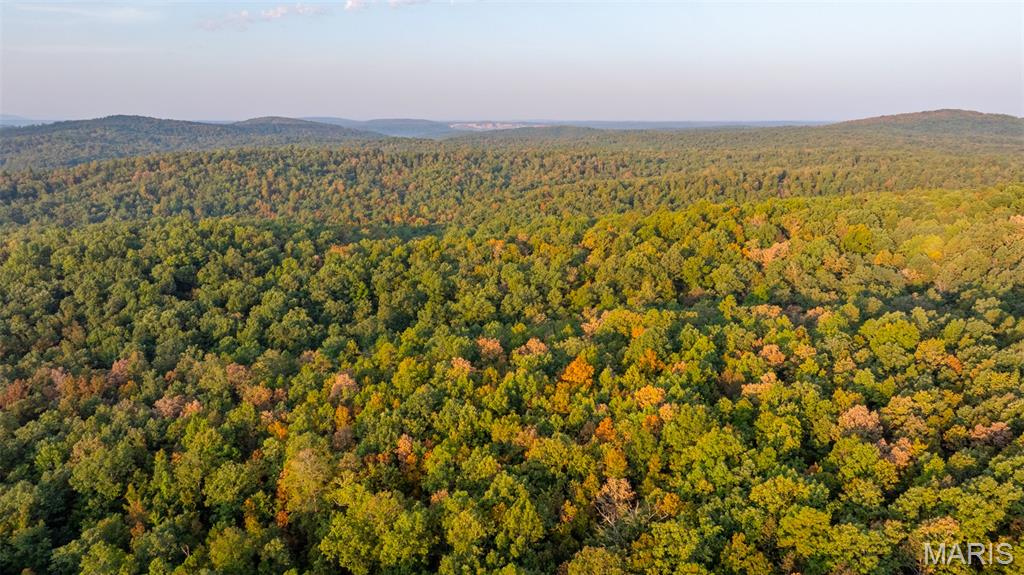 0 County Road 137 Annapolis, MO 63620 - Photo 23 of 52