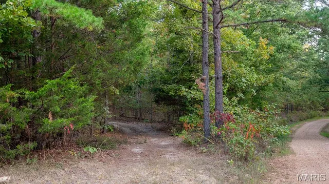 $269,900 | 0 County Road 137, Annapolis, MO 63620